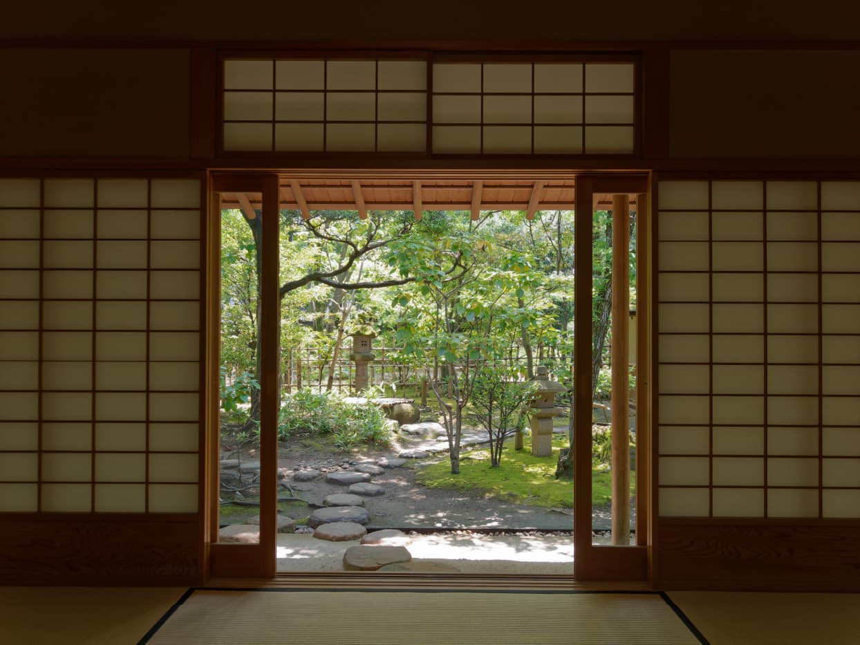 和室からの庭